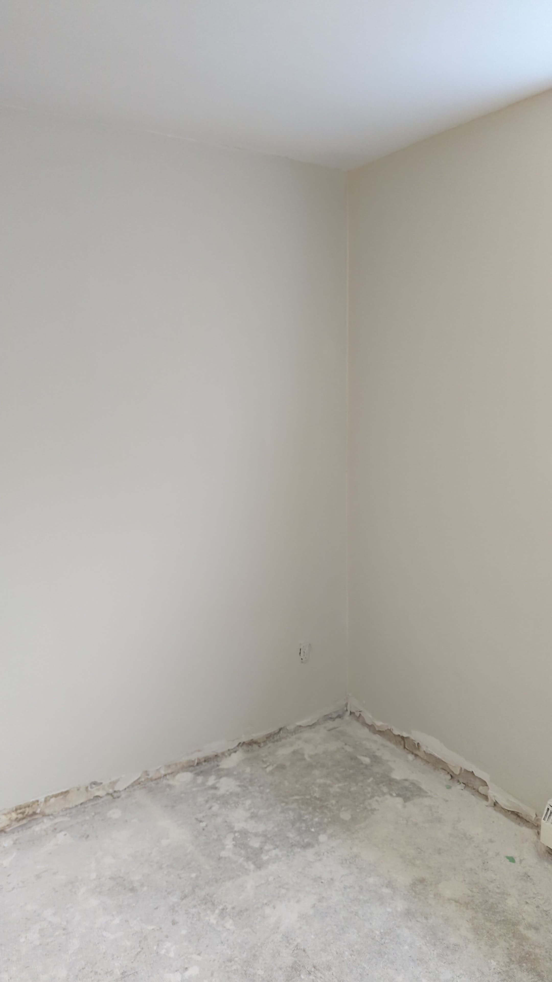 Devine Plaster Repair